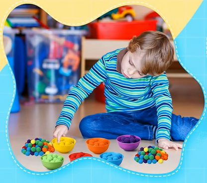 Montessori - Tri et Comptage de Pompons